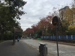 -新江湾城公园