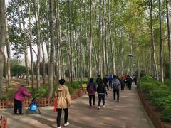 -仁和公园(顺义区)