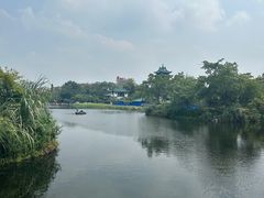-桂湖森林公园