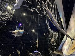 -长江文明馆