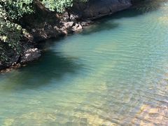 -鼎湖山风景区