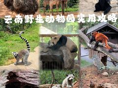 -云南野生动物园