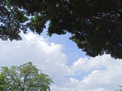 -广州中山纪念堂