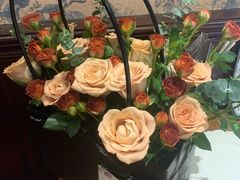 -秘密旅行Bonjour(黑金冠 江南西店)