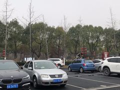 -合肥滨湖国家森林公园