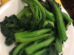 -鸿达渔港
