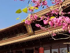-苏州文庙(姑苏区)