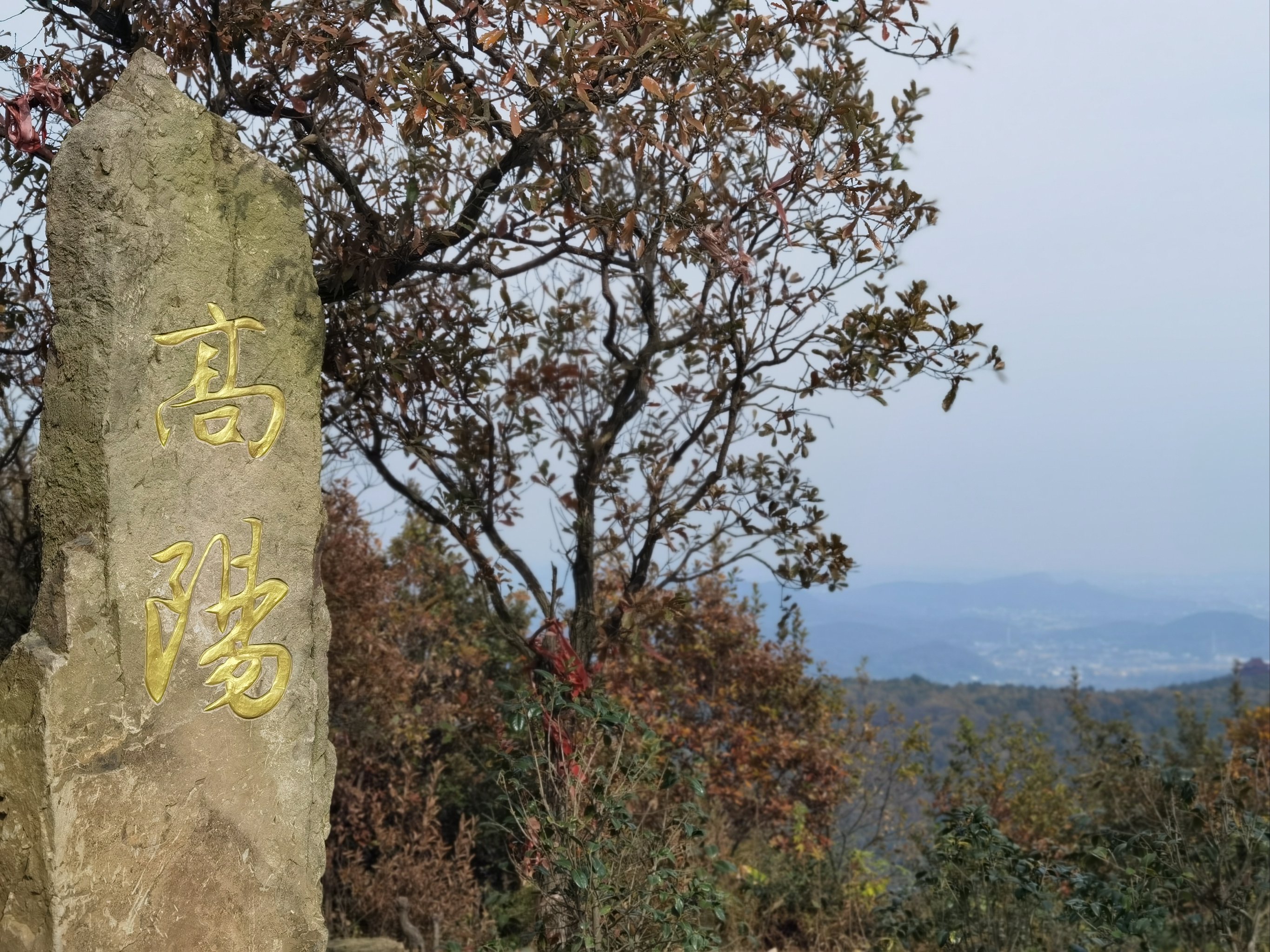 高阳山景区图片