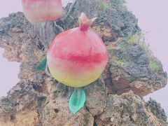 -小普陀