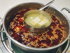 -蛙两只美蛙鱼头火锅(恒茂店)