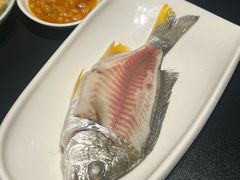 -庄氏祥记深夜厨房·文火煲仔翅