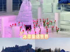 -荷兰花海