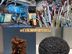 -柳州白莲洞洞穴科学博物馆