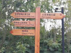 -上海崇明金茂凯悦酒店