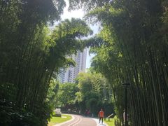 -苏州河梦清园环保主题公园