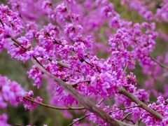 -天台山赤城山景区