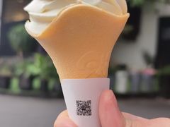 -珠江琶醍