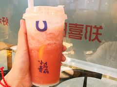 小马莓丽-春丽小马(济南恒隆广场店)