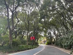 -新洲生态园
