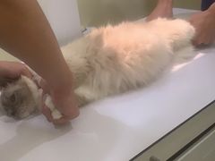 -美迦爱-牙专科·兔科·骨科诊疗中心(北苑店)