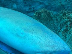 -新加坡海洋生态馆