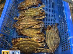 -中国舟山国际水产城