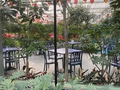 -南宫五洲植物乐园