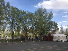 -蒙古大营·蒙古演绎餐厅(赛马场店)