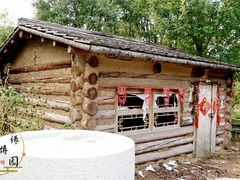 -武清南湖绿博园