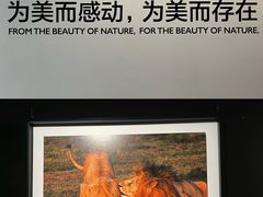 -罗红摄影艺术馆