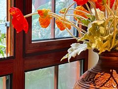 -月亮眼花园餐厅书吧酒吧