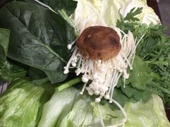 -友乐居羊蝎子(西直门店)