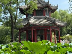 -莲池书院博物馆