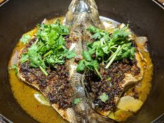 火龙鱼-兰溪小馆(东直门簋街店)