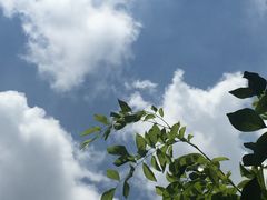 -龟场私房菜
