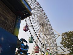 -洋湖国家湿地公园