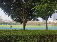 操场-厦门大学(思明校区)
