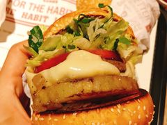 -The Habit Burger Grill 哈比特汉堡(复兴soho店)