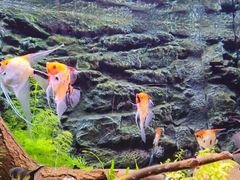 -上海海洋水族馆