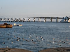 -星海广场