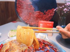 -渝大龙重庆火锅(温泉月亮湾店)