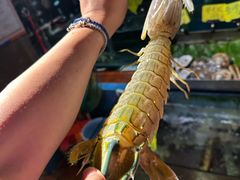 -辉记炭烧海鲜大排档·老字号(福田店)