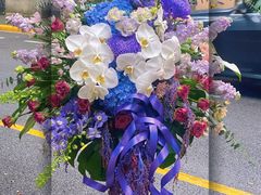 -静岸花卉园艺(三星坊店)