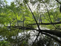 -钟山体育运动公园
