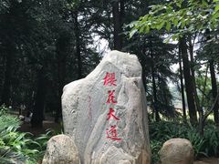 -武汉大学-樱园