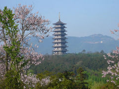 -宜兴龙背山森林公园