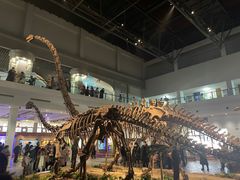 -自贡恐龙博物馆
