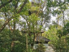 -上海佘山国家森林公园天马山园