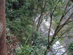 -九鲤湖风景区