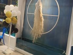 -雀舞云南菜(乐客城店)